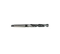 forets cone morse - conemorse : foret de 18 -