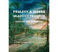 Forêts et lacs de la période protohistorique antérieure - Quand le charbon était encore vert