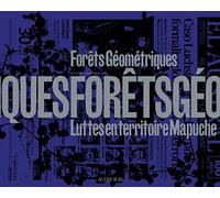 Forêts géométriques Luttes en territoire Mapuche - Ritual inhabitual - Actes sud - broché - Beau livre