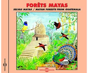 FORETS MAYAS 5