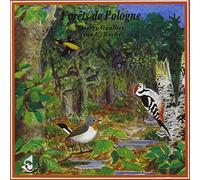 Forêts Pologne - Bialowiéja
