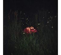 Close to The Flame/Vinyle Couleur