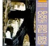Forever Einstein - Opportunity Crosses The Bridge