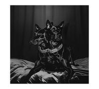Forever Friends - Cd Album