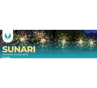 Forever Light SUNARI Lampe solaire à LED pour jardin extérieur FLS-90 Feux d'artifice solaires 3000K 600mAh Li-Ion Feux d'artifice solaires Jardins Arrière-cours Pelouse Éclairage