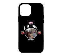Forever Strawberry Coque pour iPhone 12 Mini