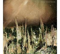 FOREVER TURNED AROUND