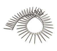 Forgefix Cloison Sèche Collationnées Vis Phillips Clairon Tête Sct 3.9 x 38mm