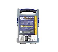 Forgefix Forffp1000y Forgefast Pozi Compatible Elite Performance Vis à bois Organiseur - Argent, argent, FORFFP1000Y