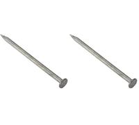 Forgefix RH150GB50 Clous à tête ronde Galvanisé 500 g (Lot de 2)