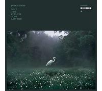 Forgiveness - Next Could Be Your Last Time [Import]