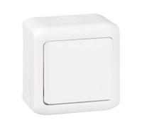 Forix legrand clé unipolaire 10AX pour montage ouvert - Blanc