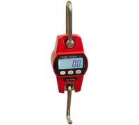 Format1 OCS-300, suspension numérique poids 300 kg