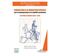 Formation à la médiation sociale par le compagnonnage et la mobilité européeenne Les tours d'Europe (2016 - 2019) - André Moisan - L'harmattan - broché - Essai