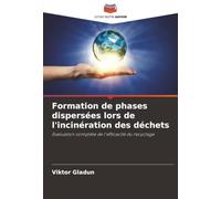 Formation de phases dispersées lors de l'incinération des déchets: Evaluation complète de l'efficacité du recyclage
