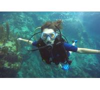 Formation de Plongée sous marine niveau 1 ou 2 en Catamaran en Martinique