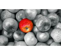 Formation en ligne : formation en psychologie positive