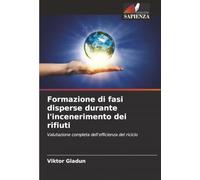 Formazione di fasi disperse durante l'incenerimento dei rifiuti: Valutazione completa dell'efficienza del riciclo