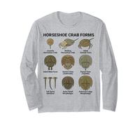 Formes de Crabe en Fer à Cheval - Cycle de Vie et morphotypes Scientific Manche Longue