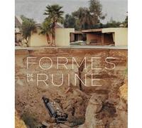 Formes de la ruine Alain Schnapp (Editeur général), Sylvie Ramond (Editeur général), Alain Schnapp (Auteur)