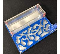 Formicarium Naturelle pour Ferme à Fourmis pour Tube à essai de Fourmis Live Humidité Grand Espace Nid de Fourmis en Acrylique, Fourmilière Insectes (Bleu Ciel)