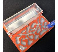 Formicarium Naturelle pour Ferme à Fourmis pour Tube à essai de Fourmis Live Humidité Grand Espace Nid de Fourmis en Acrylique Insectes (Orange)