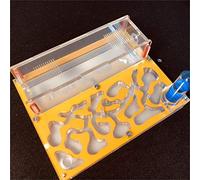 Formicarium Naturelle pour Ferme à Fourmis pour Tube à essai de Fourmis Live Humidité Grand Espace Nid de Fourmis en Acrylique, Fourmilière Insectes(Jaune)