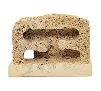 Formicarium pour Fourmis, Acrylique Fourmi de Pierre. avec Flux. Zone Plusieurs Tailles(S-1)
