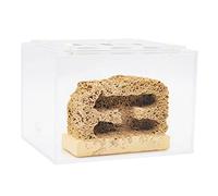 Formicarium pour Fourmis, Acrylique Fourmi de Pierre. avec Flux. Zone Plusieurs Tailles(S-2)