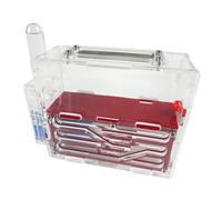 Formicarium pour Fourmis, Formicarium de Fourmis, Maison en Acrylique, château d'observation Scientifique, nid Multicolore 15 cm(Rosso)