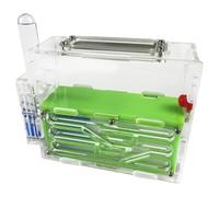 Formicarium pour Fourmis, Formicarium de Fourmis, Maison en Acrylique, château d'observation Scientifique, nid Multicolore 15 cm(Grün)