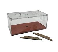 Formicarium pour Fourmis, Fourmi à béton Expansion illimitée. Alimentation for Habitat éducatif en nid d'acrylique. Coffret Cadeau(Big Activity Area)