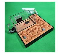 Formicarium pour Fourmis, Fourmi Acrylique de Gypse. Nid De Fourmis avec Alimentation. Zone présentation l'atelier Château d'insectes(A1)