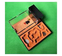 Formicarium pour Fourmis, Fourmi Acrylique de Gypse. Nid De Fourmis avec Alimentation. Zone présentation l'atelier Château d'insectes(B)