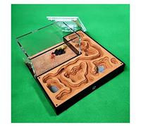 Formicarium pour Fourmis, Fourmi Acrylique de Gypse. Nid De Fourmis avec Alimentation. Zone présentation l'atelier Château d'insectes(A)
