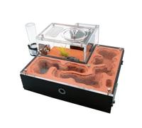 Formicarium pour Fourmis, Fourmi Acrylique. Maison écologique en plâtre avec Alimentation. Zone for la Race Reine. Formicarium(F)