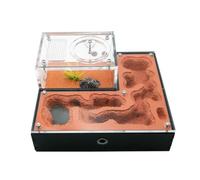 Formicarium pour Fourmis, Fourmi Acrylique. Maison écologique en plâtre avec Alimentation. Zone for la Race Reine. Formicarium(B)