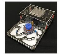 Formicarium pour Fourmis, Fourmi Acrylique. Présentoir d'habitat formicarium, Multicolore(Black)