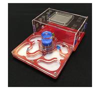 Formicarium pour Fourmis, Fourmi Acrylique. Présentoir d'habitat formicarium, Multicolore(Red)