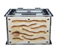Formicarium pour Fourmis, Fourmi de Maison Fourmis en Bois Acrylique Bricolage. avec Flux. Nid Zone Plusieurs Tailles