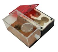 Formicarium pour Fourmis, Fourmi. Nest Verre Acrylique Gypse 3D Plat Multicolore(A)