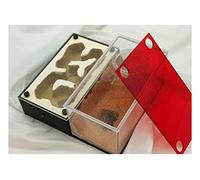 Formicarium pour Fourmis, Fourmi. Nest Verre Acrylique Gypse 3D Plat Multicolore(B)