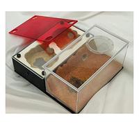Formicarium pour Fourmis, Fourmi. Nest Verre Acrylique Gypse 3D Plat Multicolore(C)