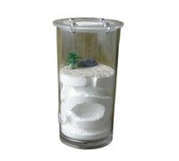Formicarium pour Fourmis, Kit d'observation Fourmi formicarium Acrylique Rose Blanc 13x6,7 cm(White)