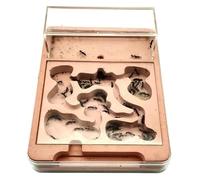 Formicarium pour Fourmis, Nid de Gypse en Verre Acrylique Fourmi formicarium avec Port d'extension 10 mm, 23,5 x 17 3,7 cm