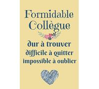 Formidable Collègue: Carnet de Note, idée cadeau pour infirmiere , secrétaire , comptable , aide soignante , enseignante , collègue de travail , cadeau départ retraite pour femme