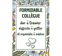 Formidable Collègue: idée cadeau depart collegue Travail femme , Carnet de Note 107 pages , cadeau départ retraite humoristique , Alternative carte depart collègue , Journal Intime Bonne Continuation