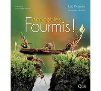 Formidables fourmis !