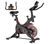 Formill QK101 Vélo Dynamique, Affichage LCD, Siège et Accoudoirs Réglables, Entraînement par Courroie Silencieux, Charge Max 120kg, Exercice en Intérieur