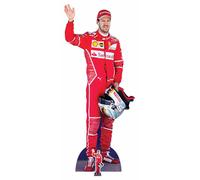 Formule 1 carton Sebastian Vettel